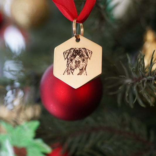 Personalized Hexagon AI Designed PET face Keychain/Ornament (18K Gold Vermeil Plated)